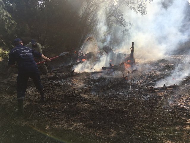 На Херсонщині рятувальники загасили ще одну лісову пожежу