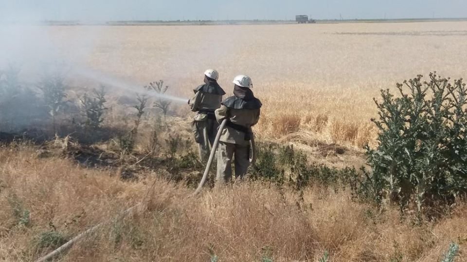 У Херсонській області за добу 25 разів горіла суха трава