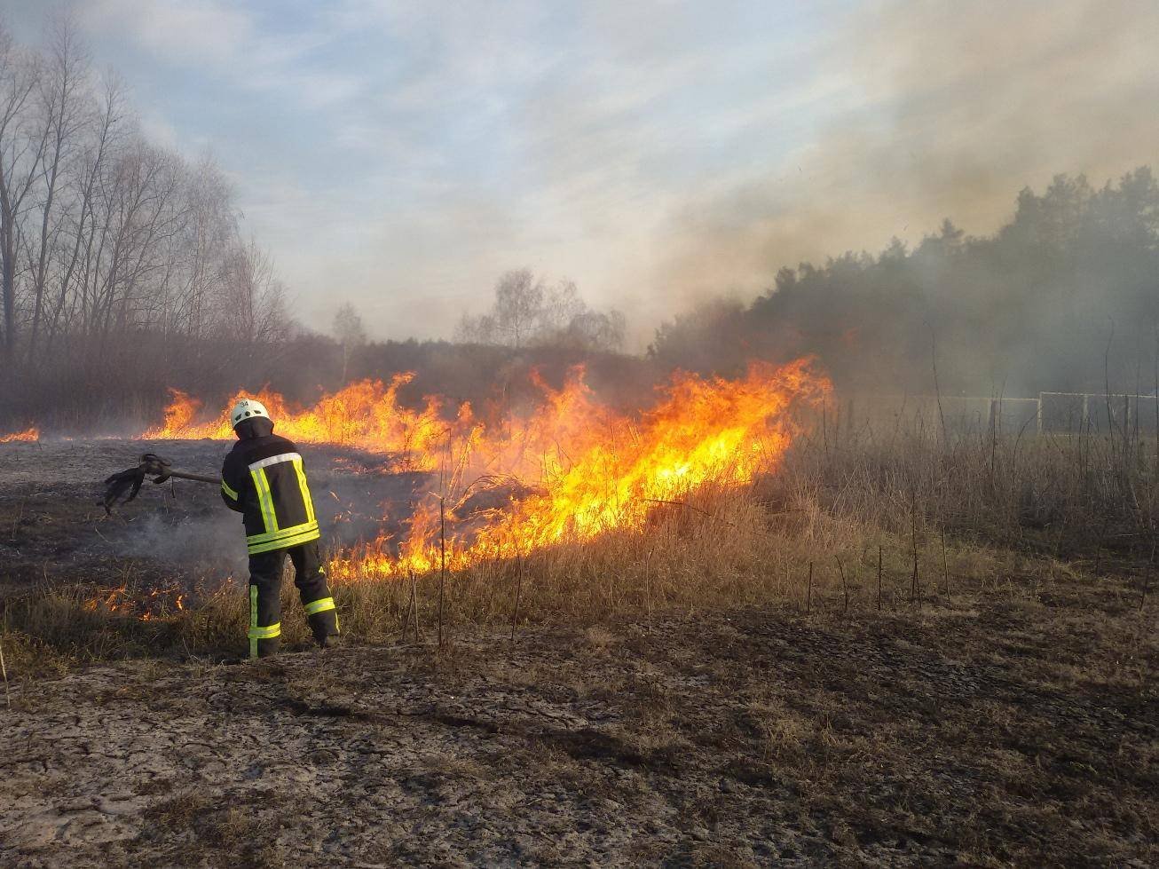 На Херсонщині за минулу добу пожежні 20 разів гасили сухостій