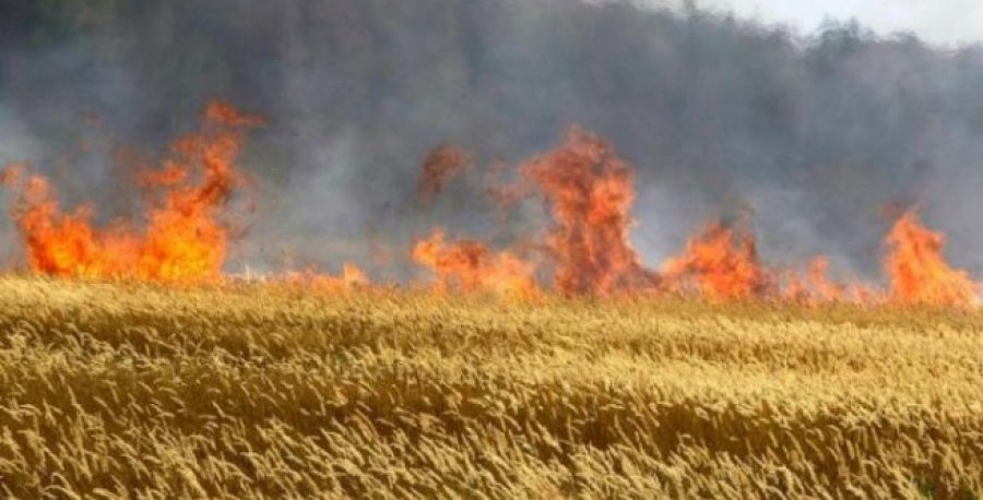 Минулої доби у Херсонській області тричі горіли пожнивні залишки