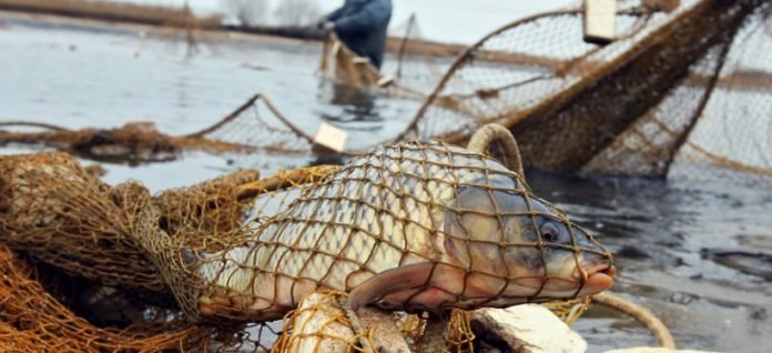 На Херсонщині ведеться боротьба з браконьєрством