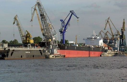 Чи дотримується «Херсонський морський торговельний порт» законодавства у сфері карантину рослин?