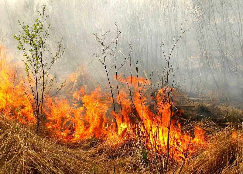 Гаряча доба для херсонських рятувальників