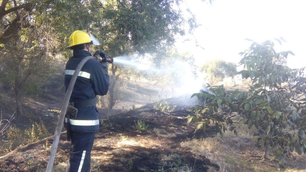 Гарячі будні пожежників: за добу на Херсонщині 18 разів горіла суха трава та сміття