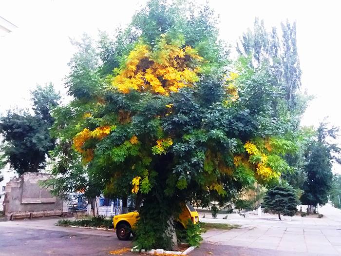 Находка херсонки объединила несколько сезонов воедино (ФОТО)