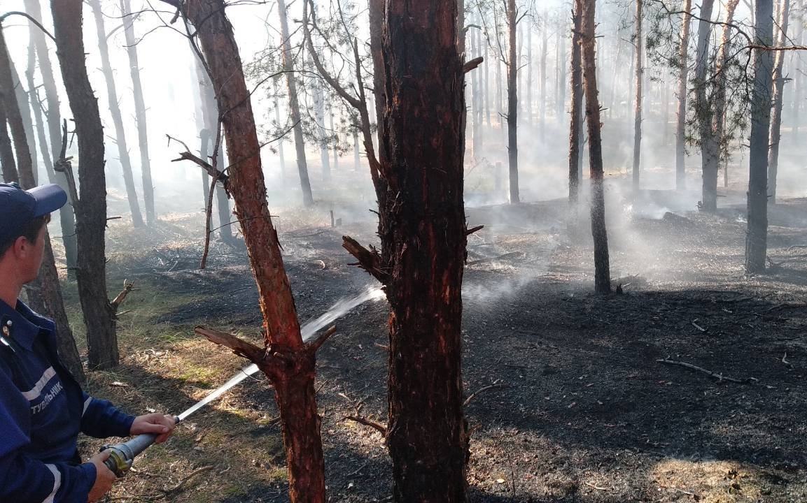 Херсонські ліси продовжують палати: за добу ліквідовано 3 пожежі