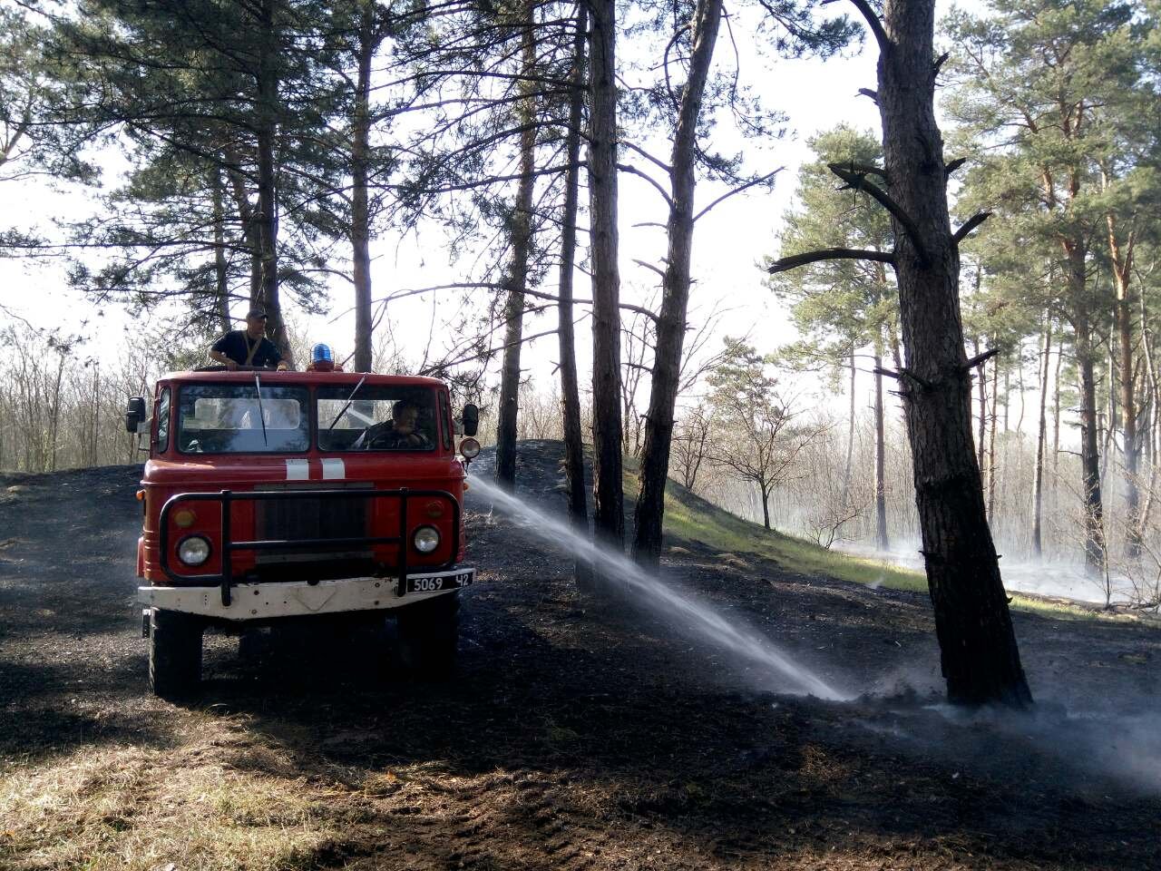 В Олешківському районі ліквідовано лісову пожежу