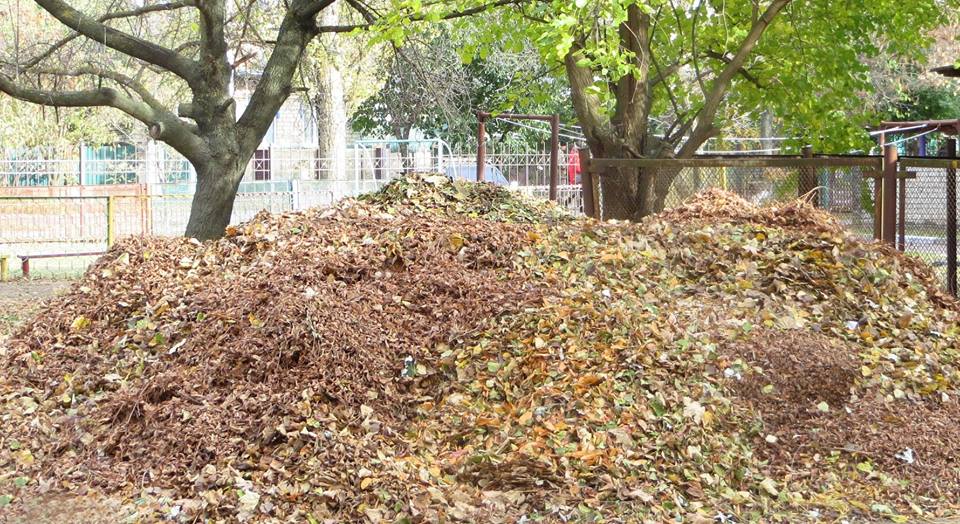 Паливні брикети на гілках - Херсону б варто повчитися у інших міст