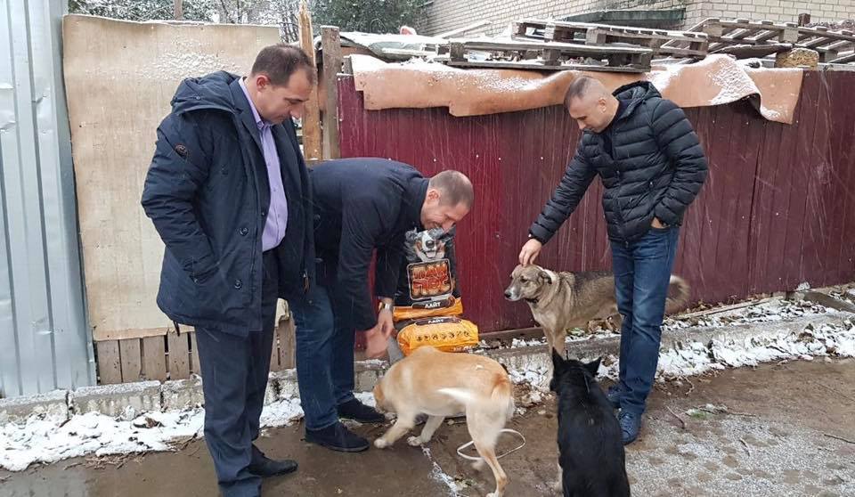 Сегодня в херсонский приют для животных 