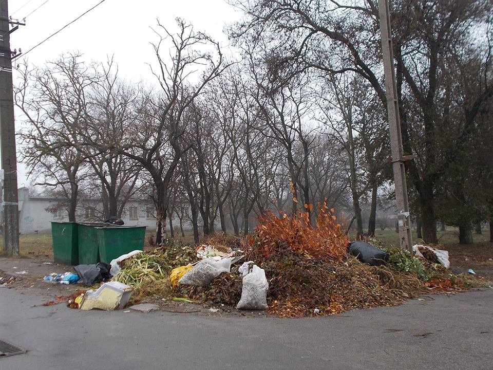 Херсонці скаржаться на засмічені вулиці - Інспекція з контролю за благоустроєм вирішує це питання