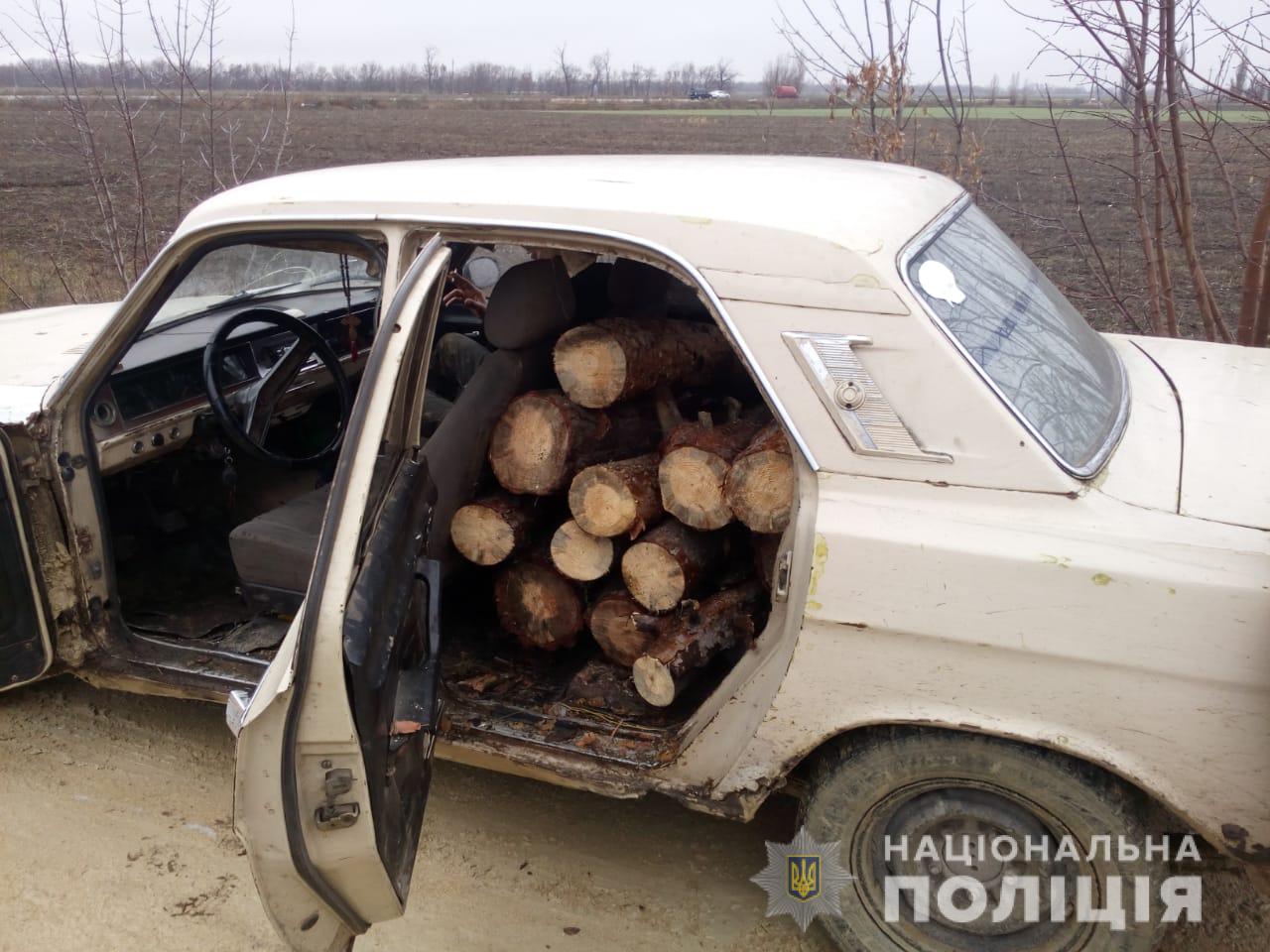 З початку року поліція Херсонщини відкрила 240 кримінальних справ щодо незаконної порубки лісу