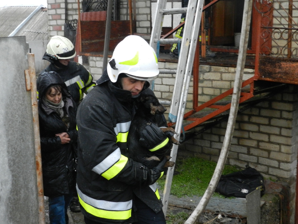 Херсонські рятувальники витягли з вогню 7 домашніх тварин (ФОТО)