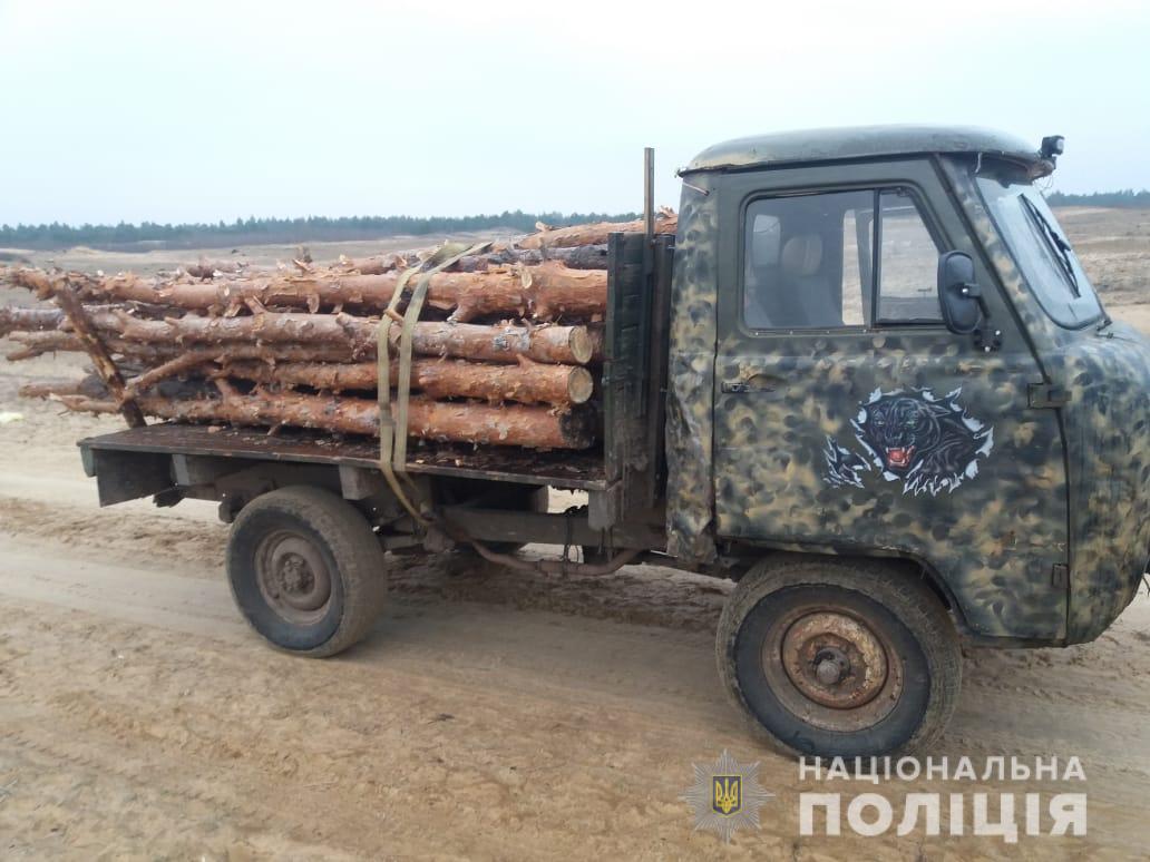 Кількість браконьєрів зростає, а ліси рідшають: поліція Херсонщини виявила два факти незаконної порубки лісу (ФОТО)