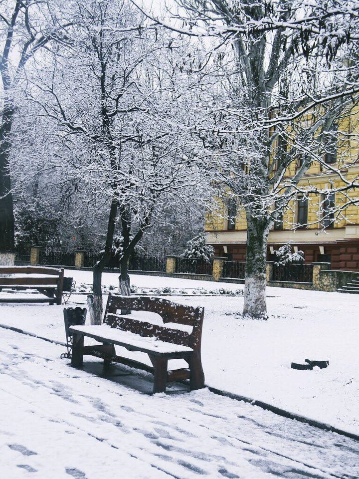 Різдво херсонці зустрінуть зі снігом