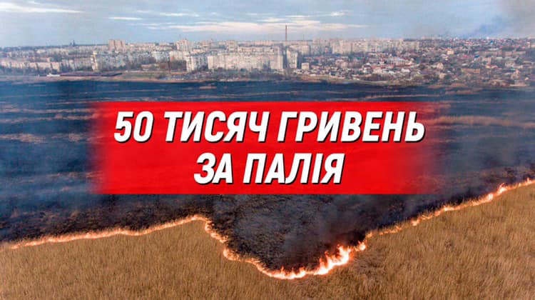 Херсонцям пообіцяли 50 тисяч гривень за палія очерету