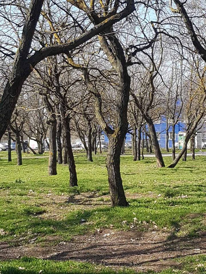 Меняем Херсон к лучшему - инициативная группа зовет херсонцев на традиционную уборку парка 