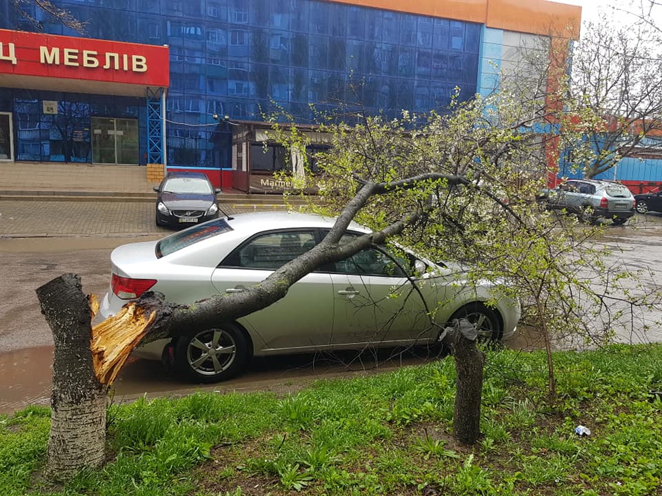 В Херсоне, на улице Вишневой на припаркованный автомобиль упала сломавшаяся вишня (фото)