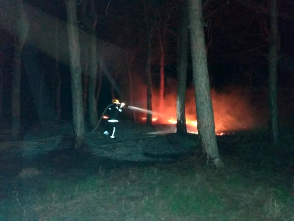 Нічна пожежа у Каховці - знову горить ліс