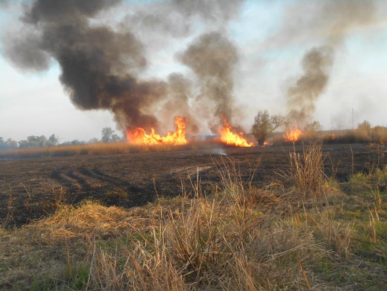 Херсонська область знову потерпала від загоряння очерету