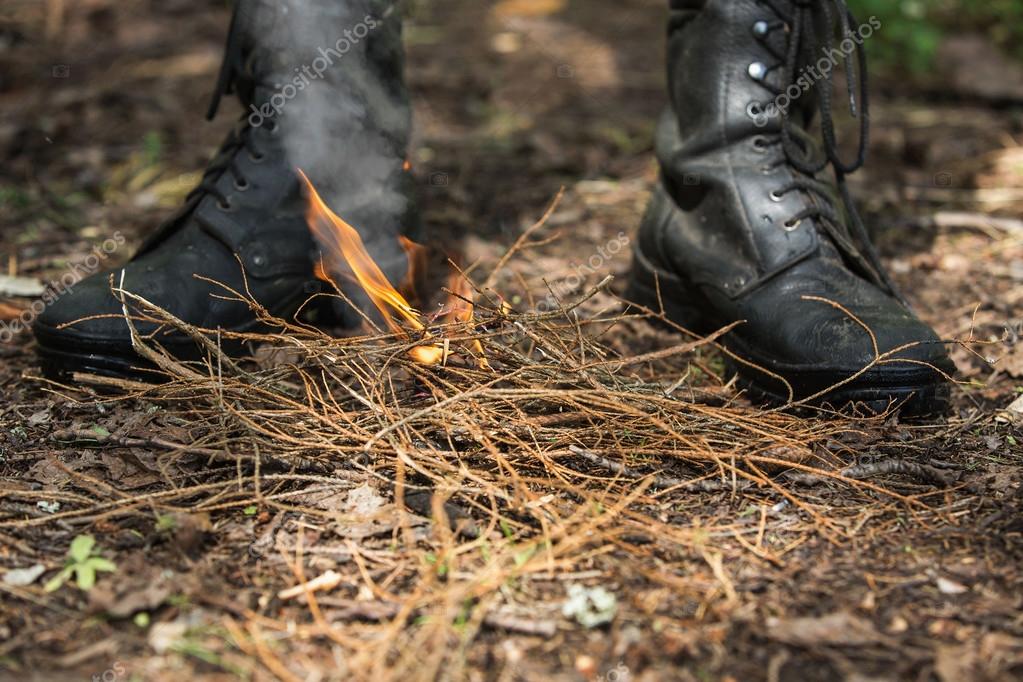 На Херсонщині засуджено підпалювача лісового масиву