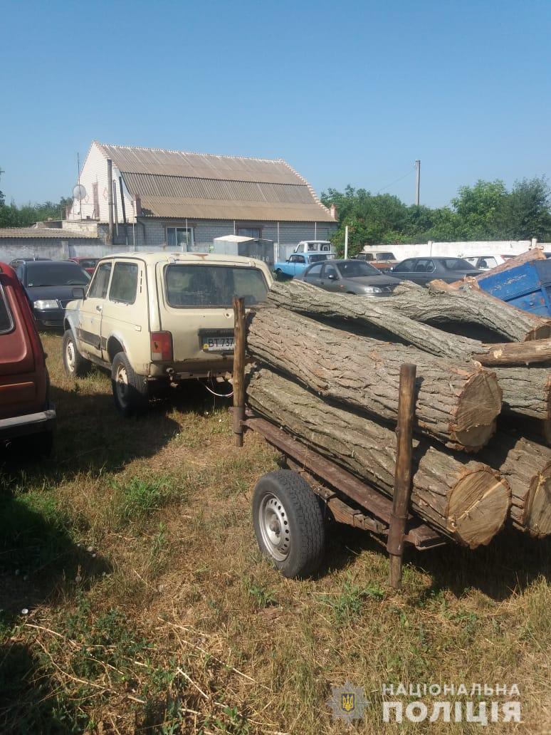 У Голопристанському районі продовжують незаконне спилювання акації