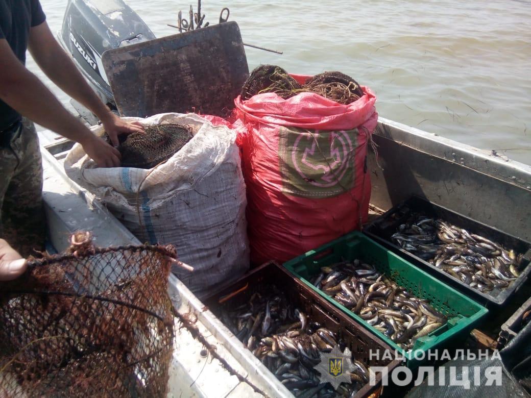 У Генічеському районі виявлено браконьєрів з незаконним уловом на 310000 грн