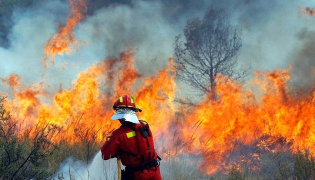 Поліція встановлює причини загоряння лісу у Голопристанському районі