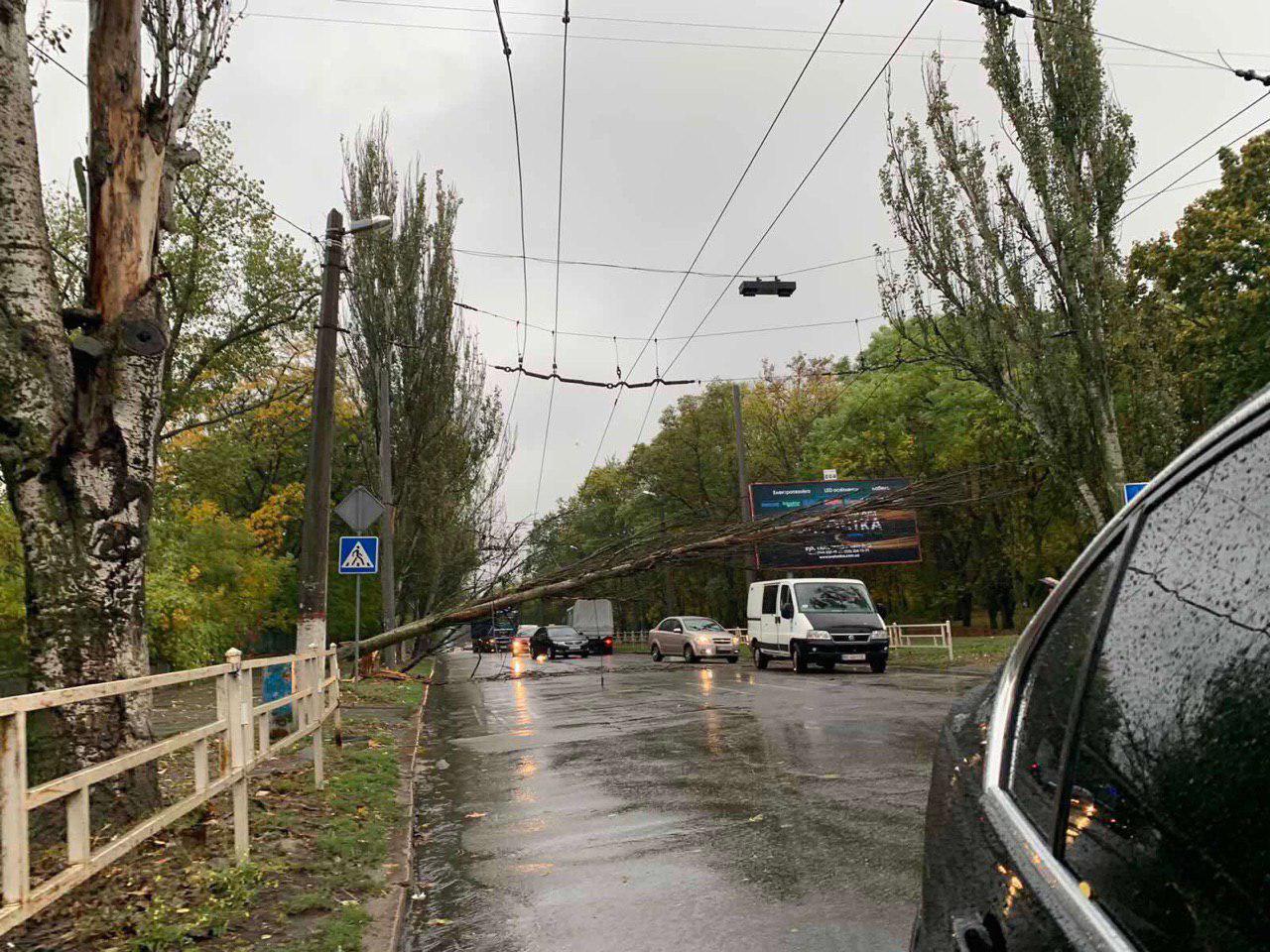 В Херсоне на проезжую часть упало дерево - ФОТО