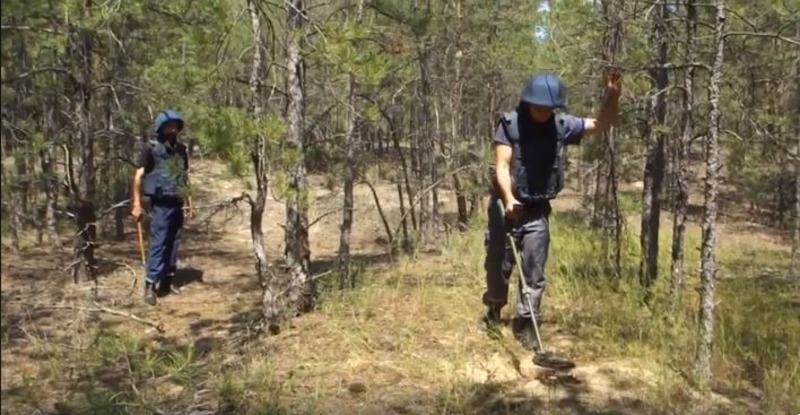 З початку року піротехніки ДСНС Херсонської області знищили 1400 вибухонебезпечних предметів