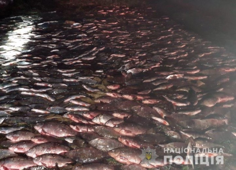 На Херсонщині поліцейські вилучили у водних браконьєрів понад півтори тисячі одиниць риби