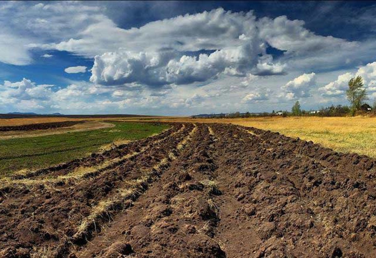 На Херсонщині чиновники незаконно привласнили землі вартістю близько 76 млн грн