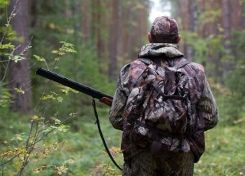 На Херсонщині працівник лісового господарства, захищаючись, застрелив браконьєра