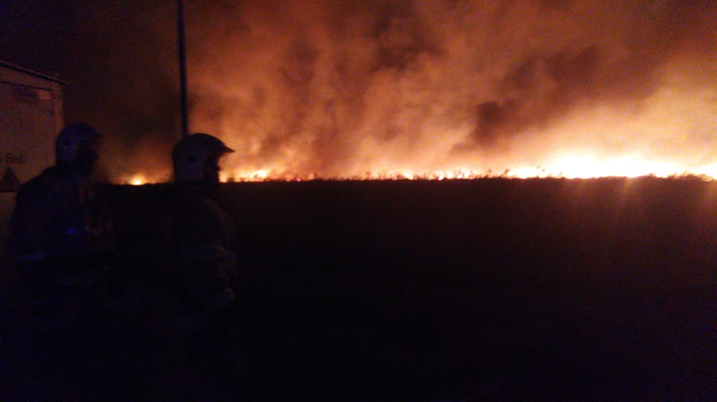 Пожар в херсонских плавнях продолжается - теперь в районе Антоновского моста