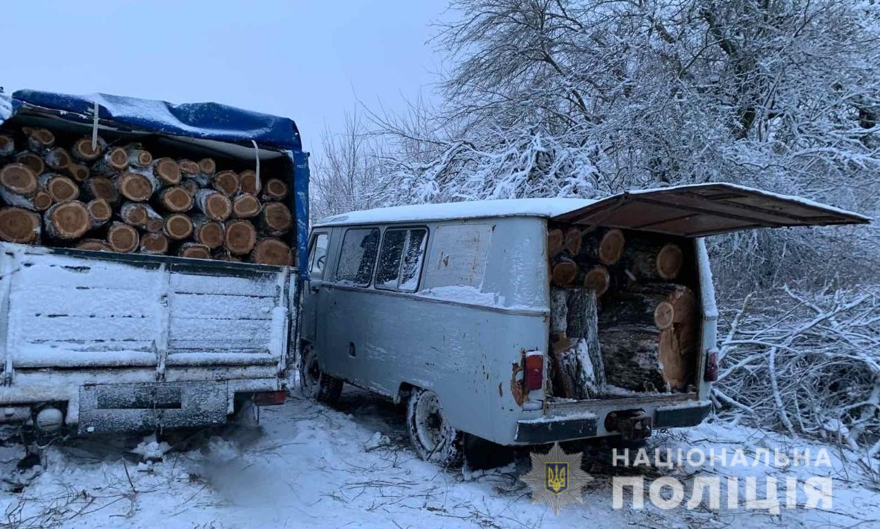 На Херсонщині викрито лісових браконьєрів, яки напиляли дерев на суму понад 100 тисяч гривен