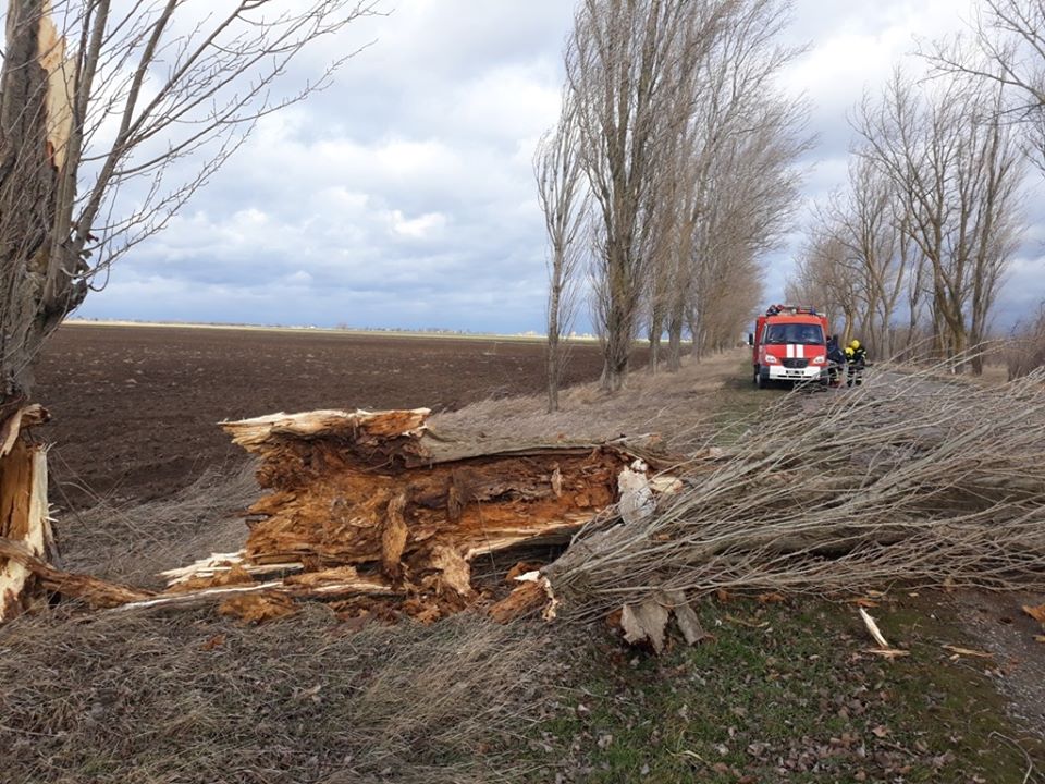 Через буревій на Херсонщині знеструмлено 52 населених пункти, з яких 13 частково