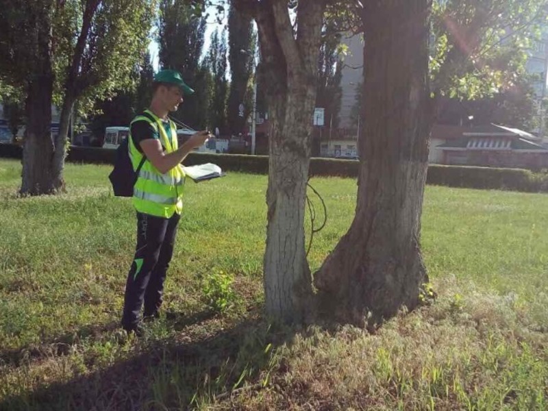 Херсонські чиновники порахувати зелені насадження міста хочуть за майже 1 млн гривень