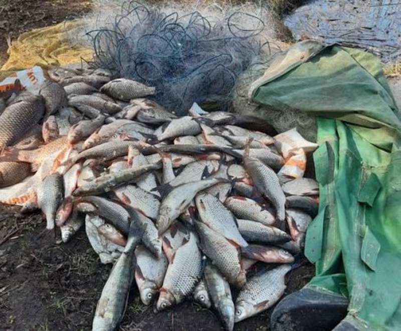 За добу у двох районах Херсонської області поліцейські викрили водних браконьєрів