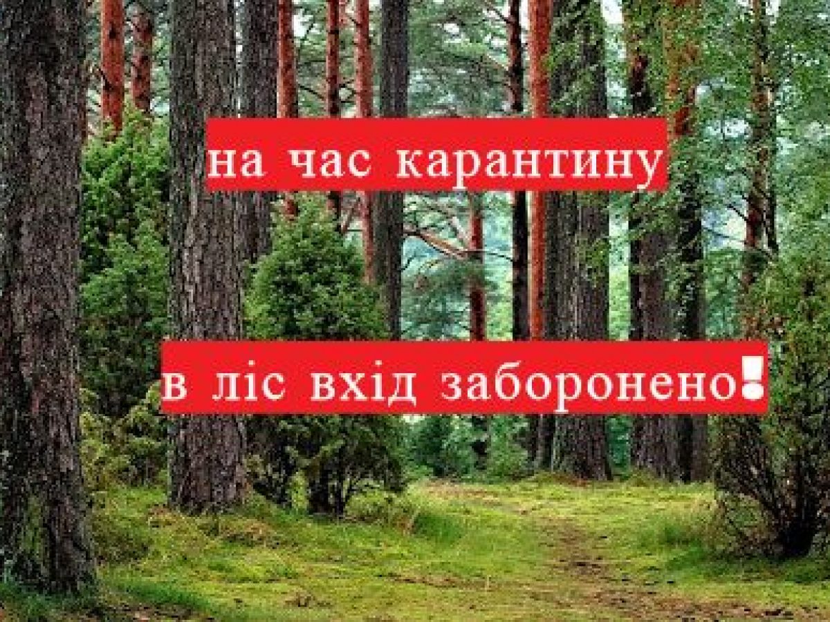 На Херсонщині заборонили відвідувати ліси