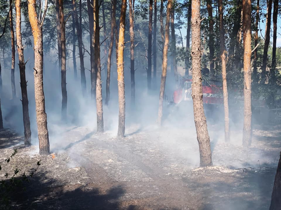 С приходом лета увеличивается риск пожаров в лесах Херсонщины