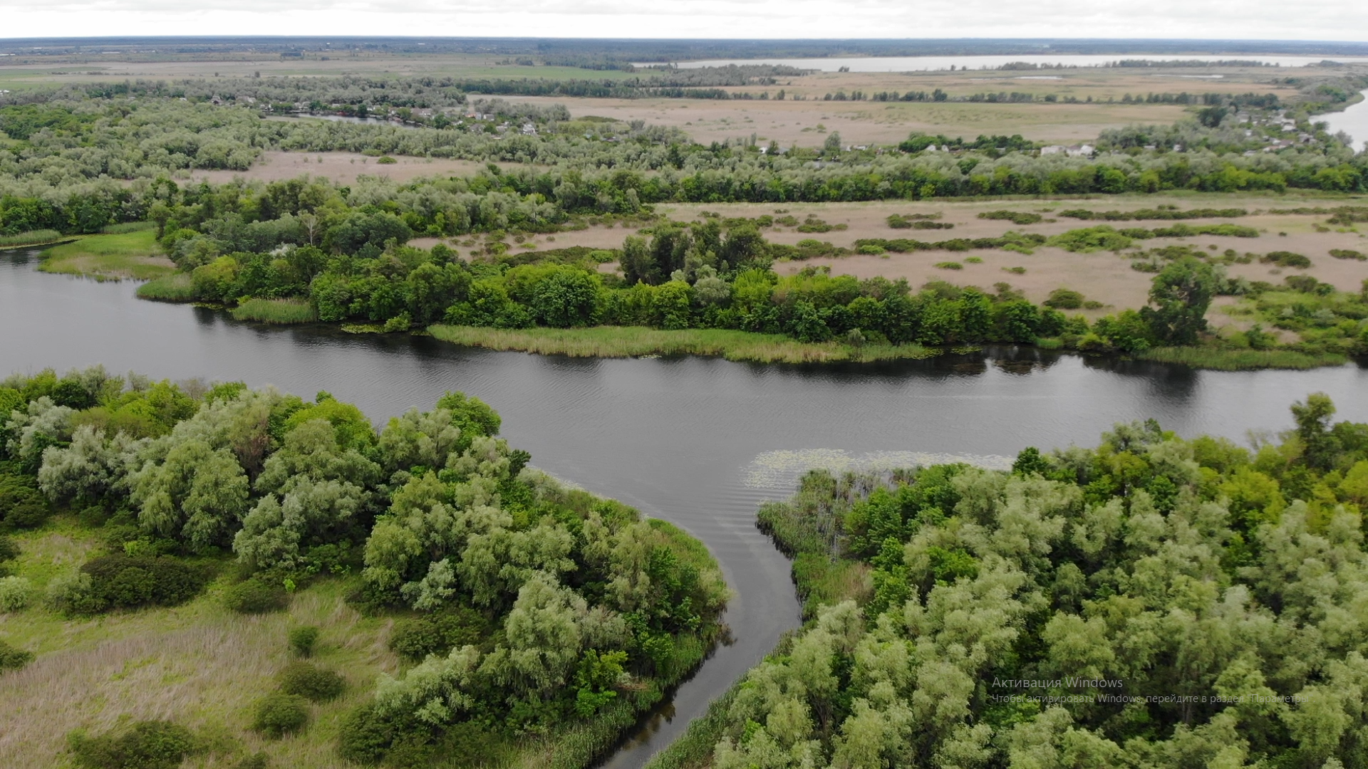 Дніпровські плавні в межах Херсону креативно величають херсонською Амазонією - ВІДЕО