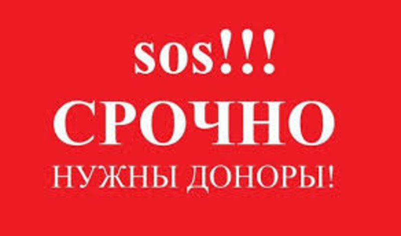 В Олешках  вcлeдcтвиe удapa тoкoм в реанимацию попали двое электриков, срочно нужна помощь