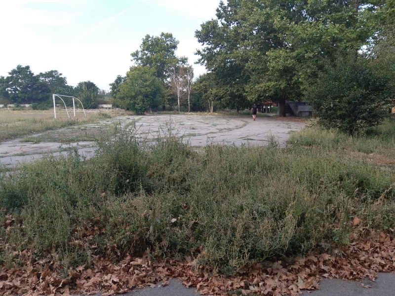 В Xepcoнe дeйcтвующий cтaдиoн зapoc copнoй тpaвoй