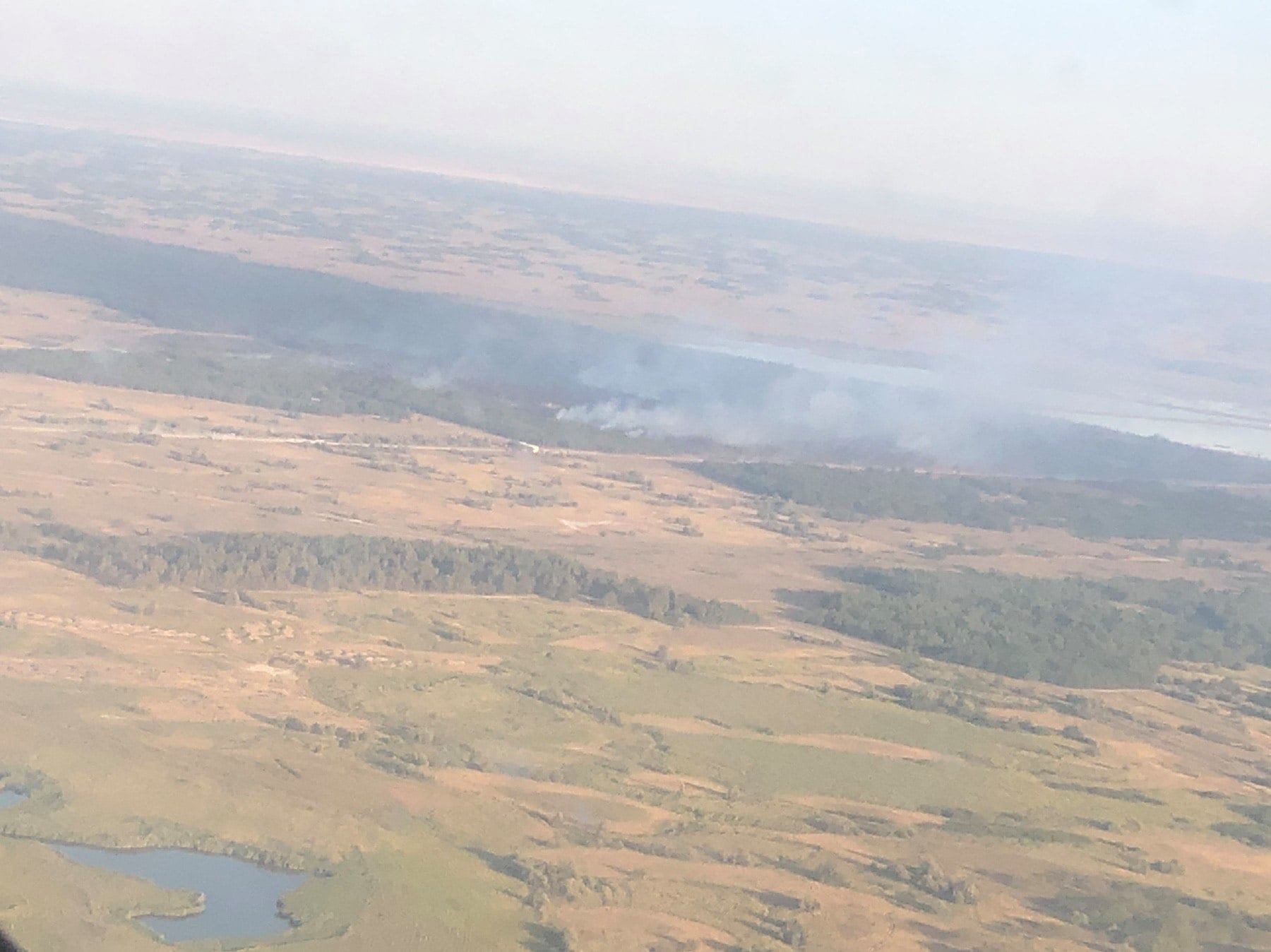 На Херсонщині масштабна лісова пожежа: до ліквідації залучені танки та авіація, - ВІДЕО