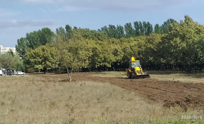 В Херсоне оптовый рынок решили оставить у парка 