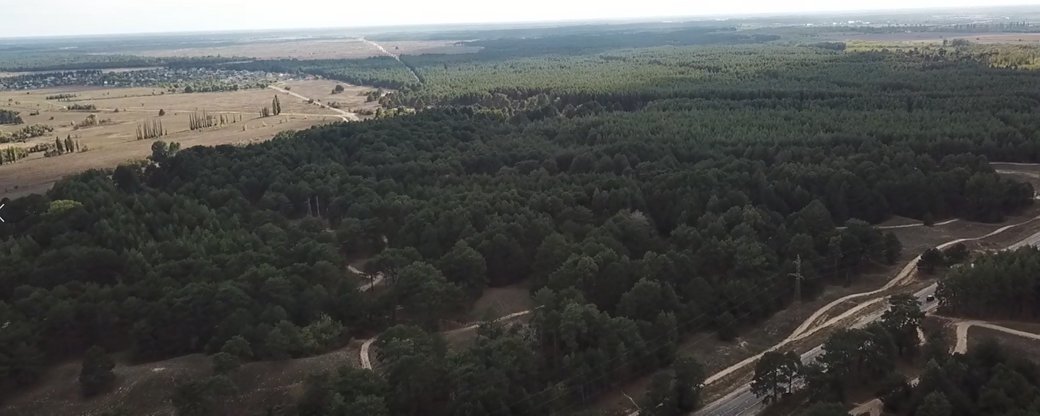 П'ять років без фінансування: як виживають лісгоспи Херсонщини