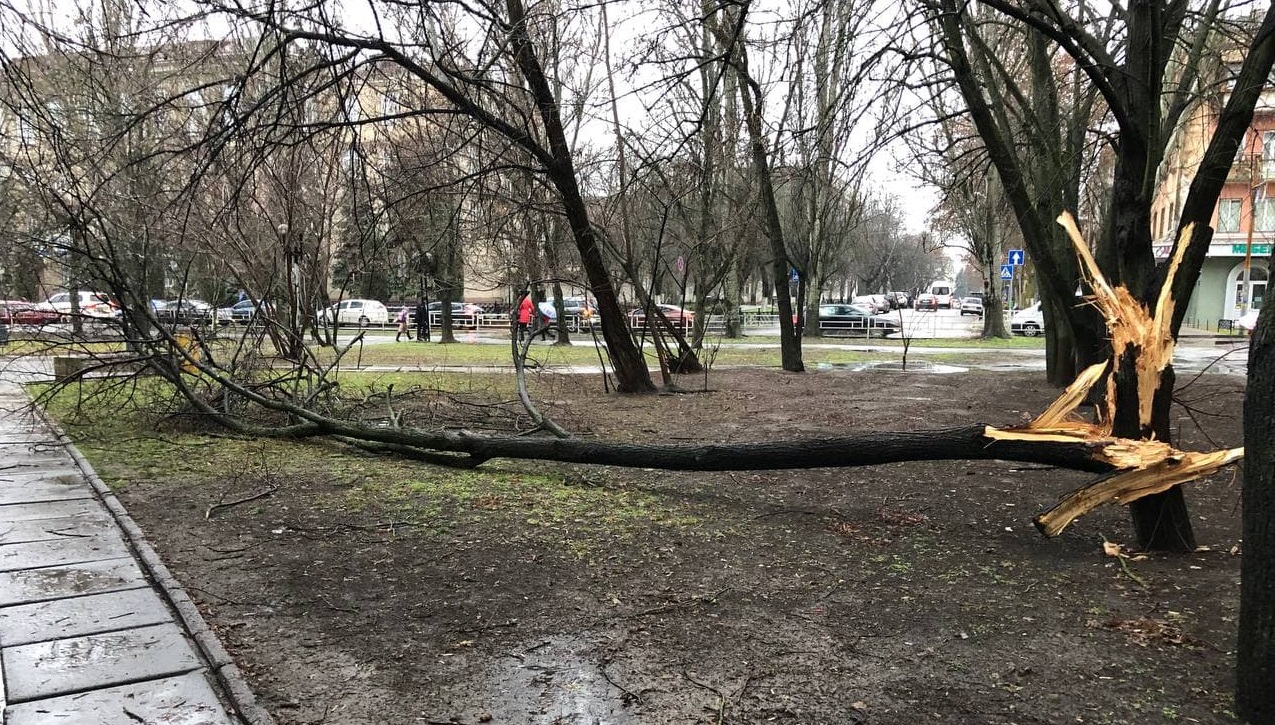 Станет ли Херсон чище с приходом нового мэра?