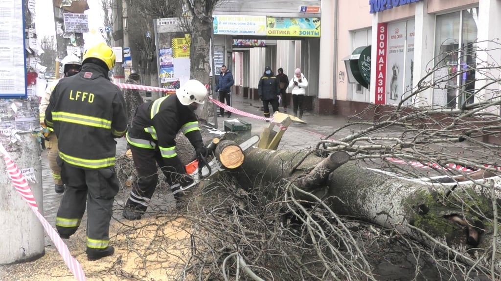 У Херсоні впала велика тополя, обірвавши лінії електропередач