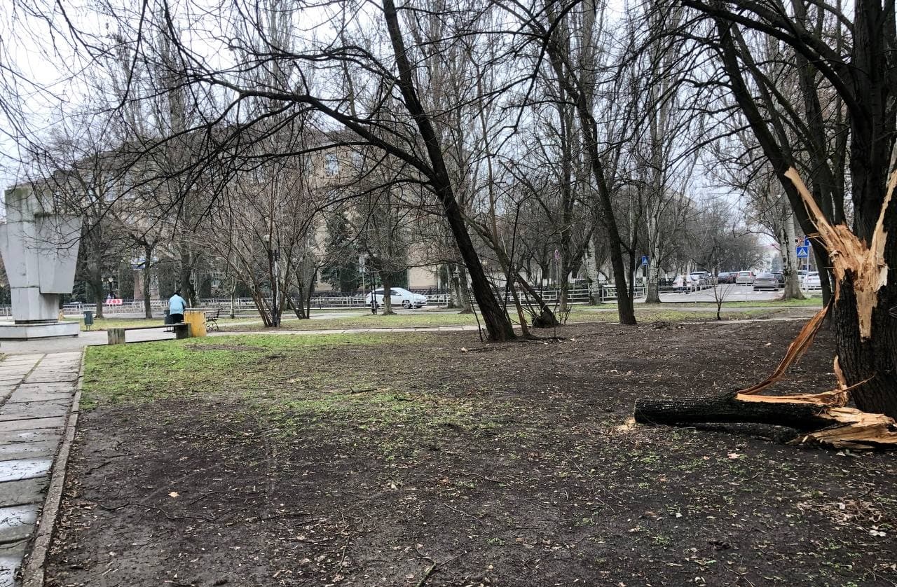 Дерево, пролежавшее в центре Херсона неделю, начали понемногу убирать