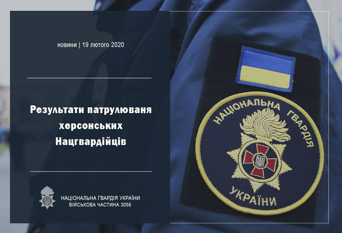 Херсонські нацгвардійці вилучили холодну зброю та затримали крадія по 