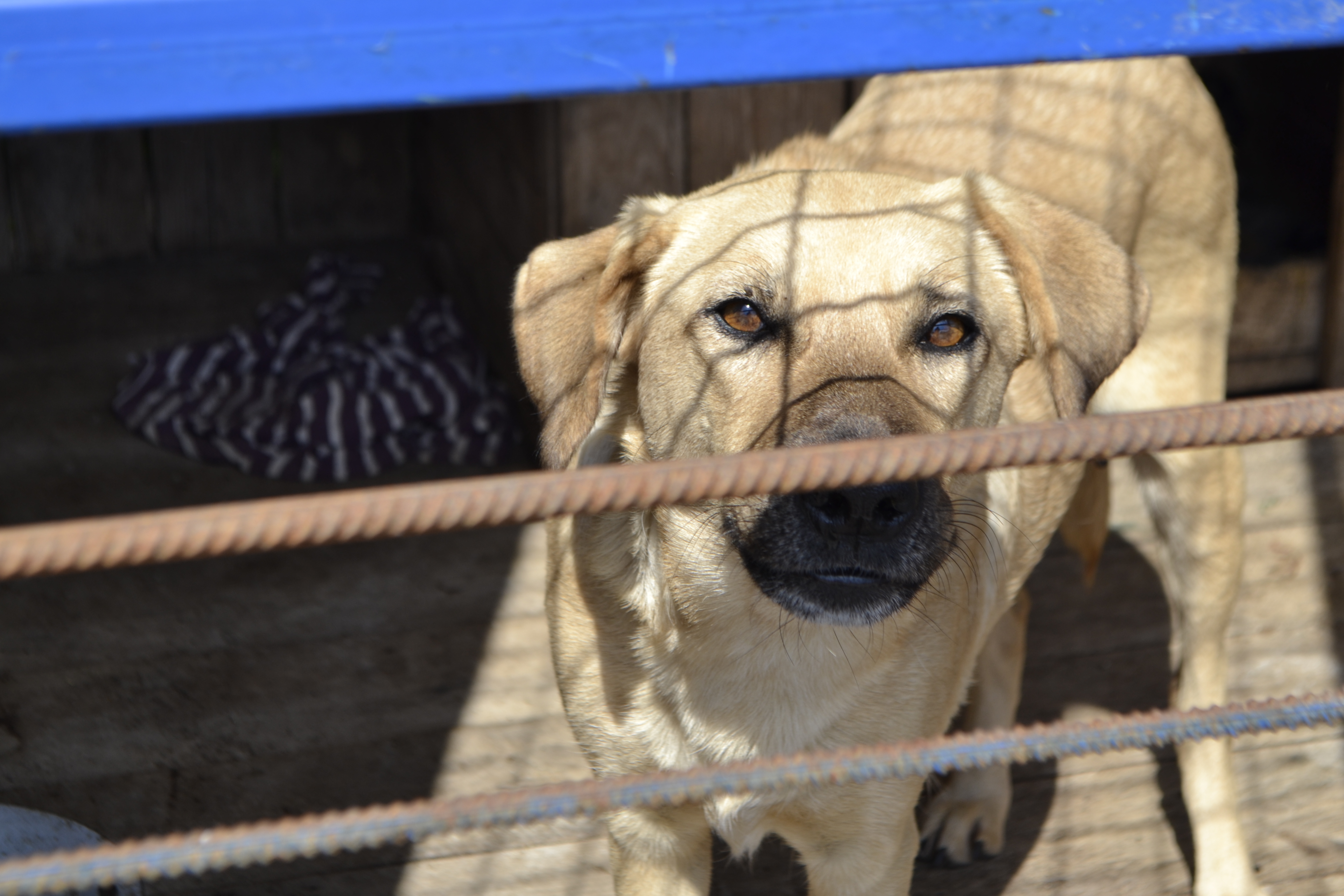 В Херсоне журналисты убедились в слаженной работе КП «Гарантия»